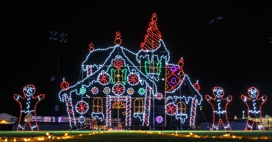 Outdoor holiday light display